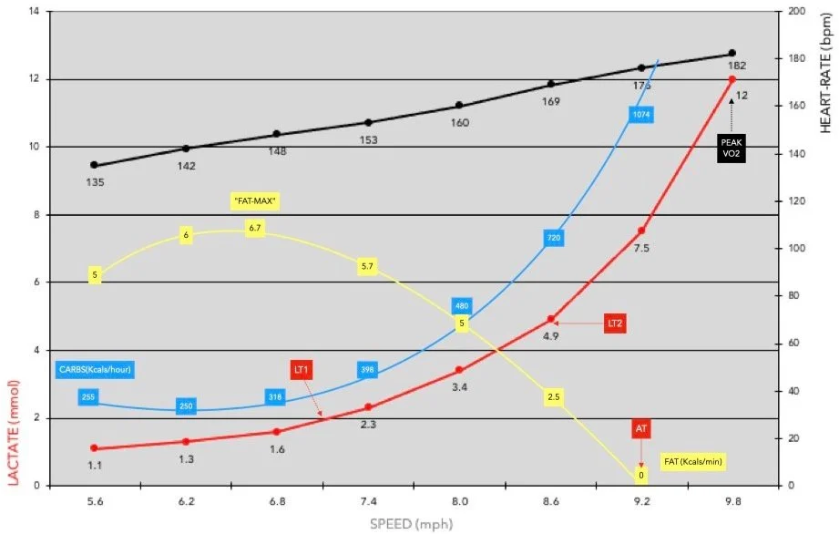 Lab data showing how lactate, heart rate, fat use and carbohydrate use interact in a staged test