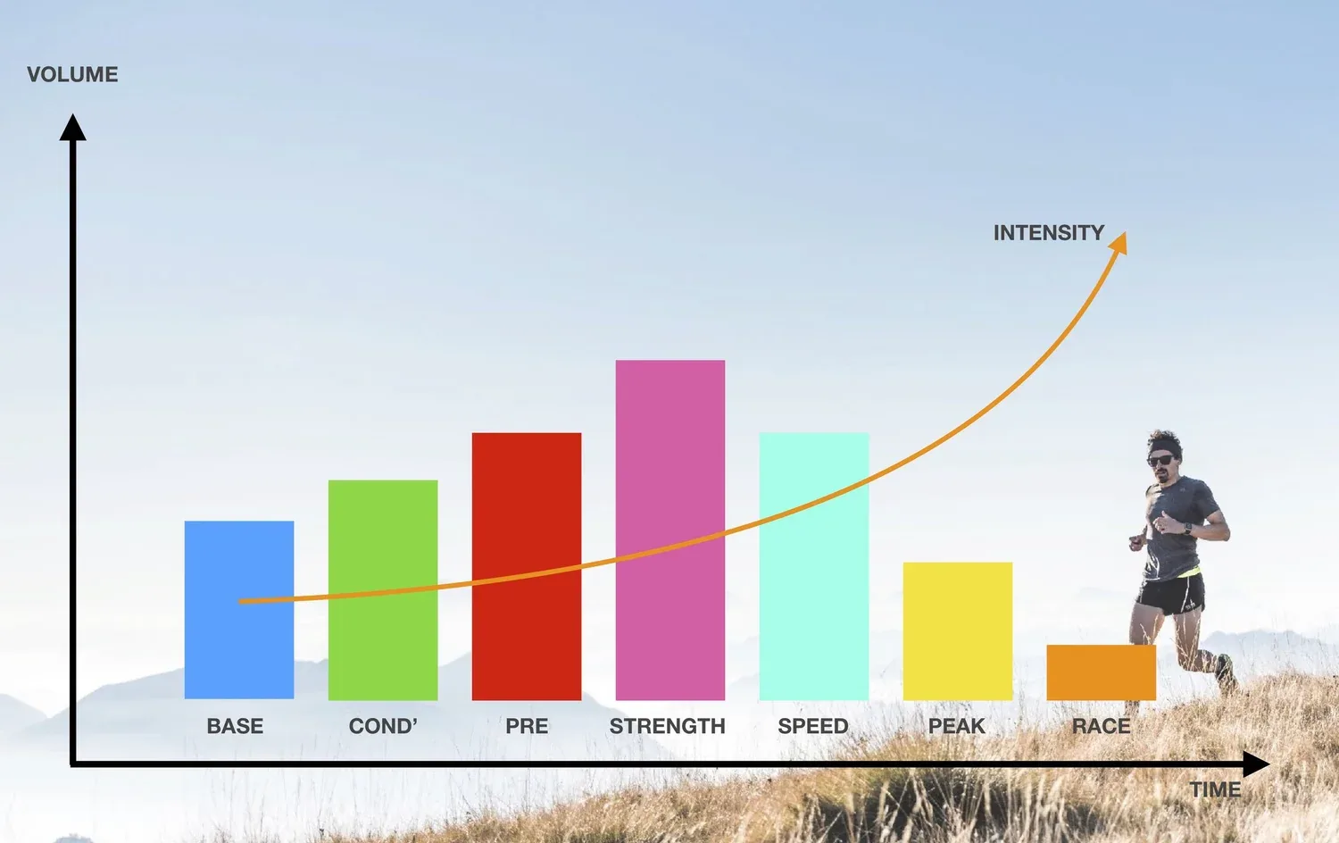 Periodization graph: training volume rises through the Base, Conditioning and Pre-Strength phases to a peak in Strength, then falls through Speed and Peak to Race, while an intensity curve climbs across the whole season